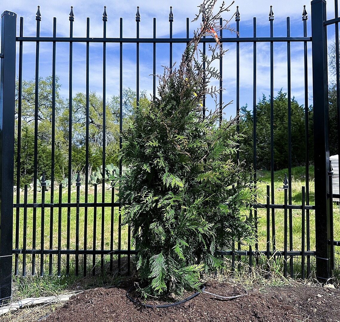 Media from review #2