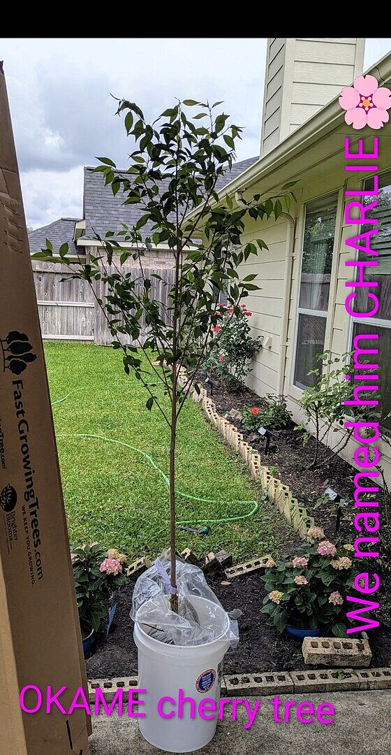 Media from review #2