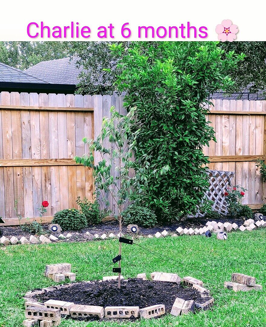 Media from review #3