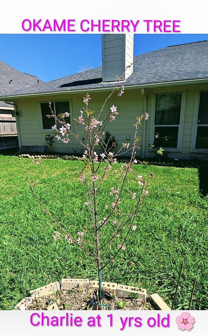 Media from review #4