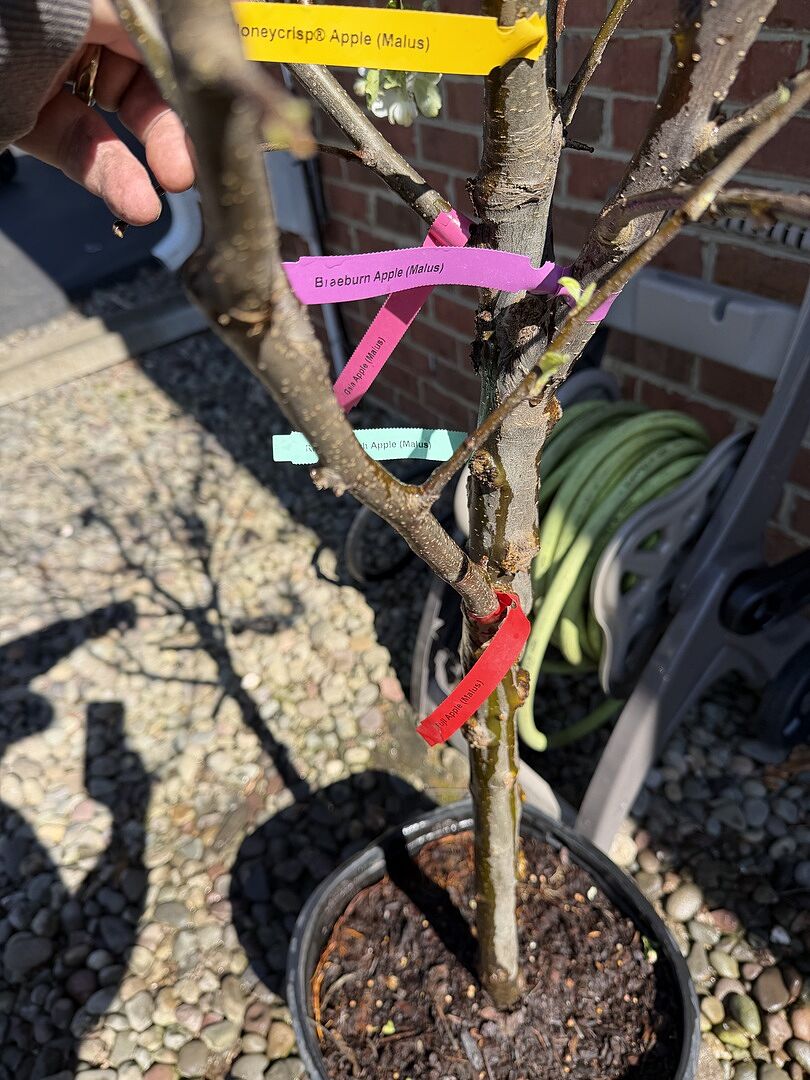 Media from review #2