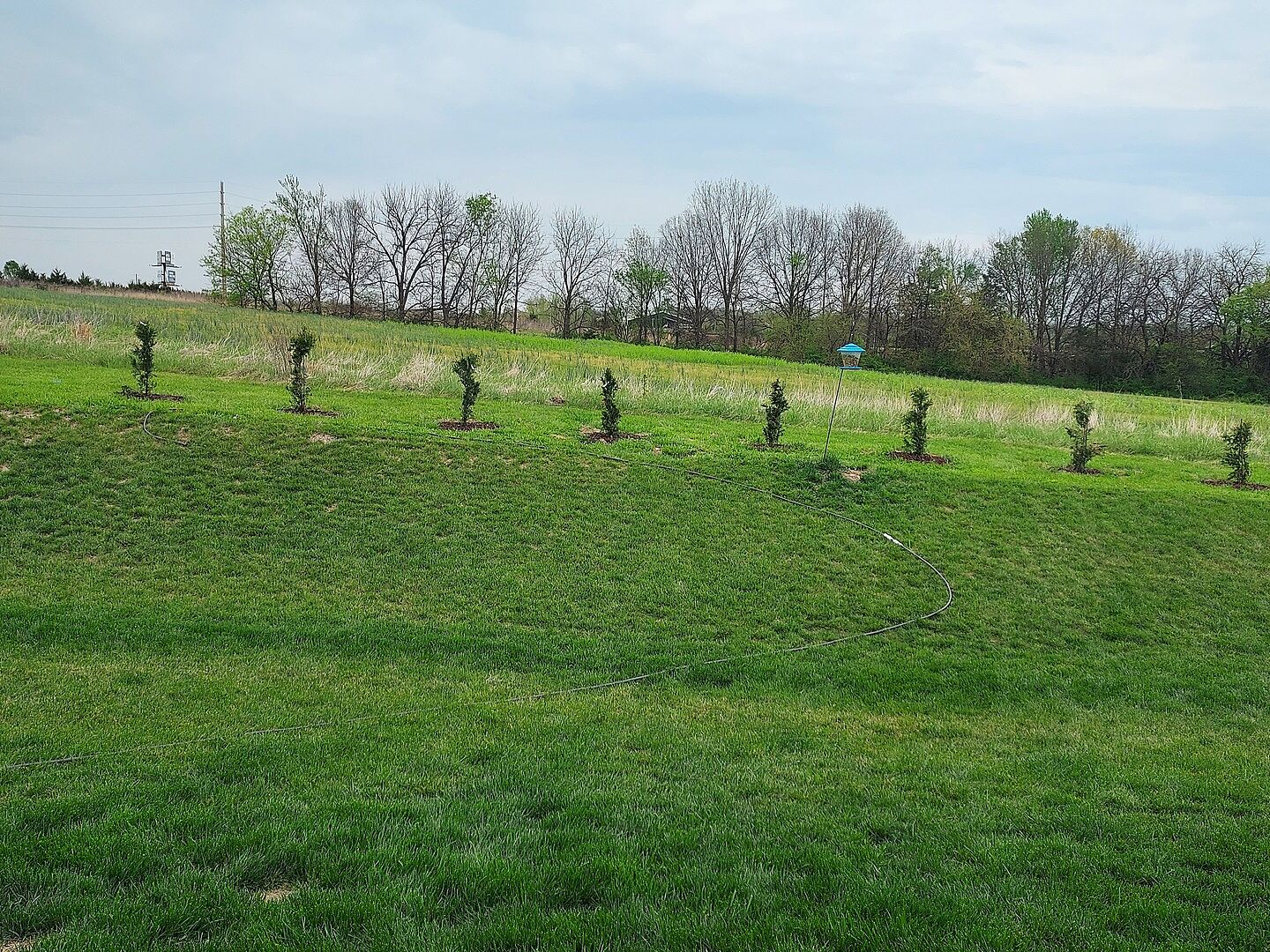 They came looking great and