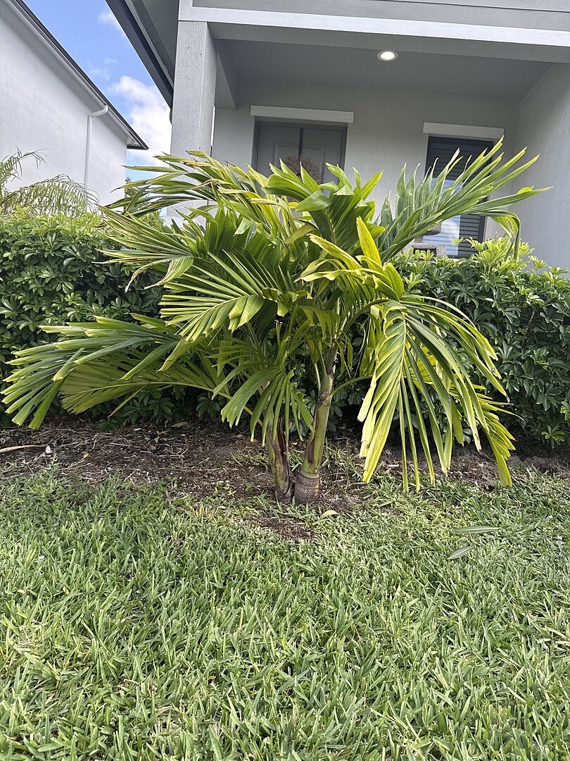 Media from review #3