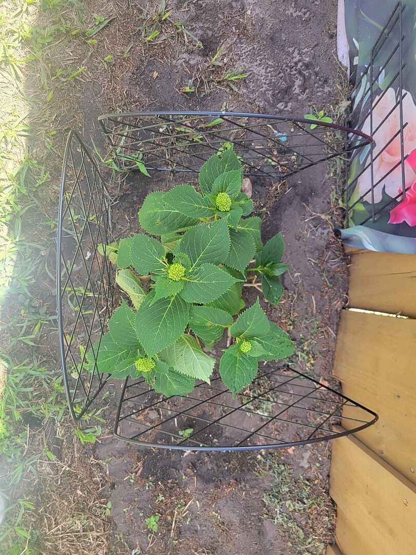 Media from review #2