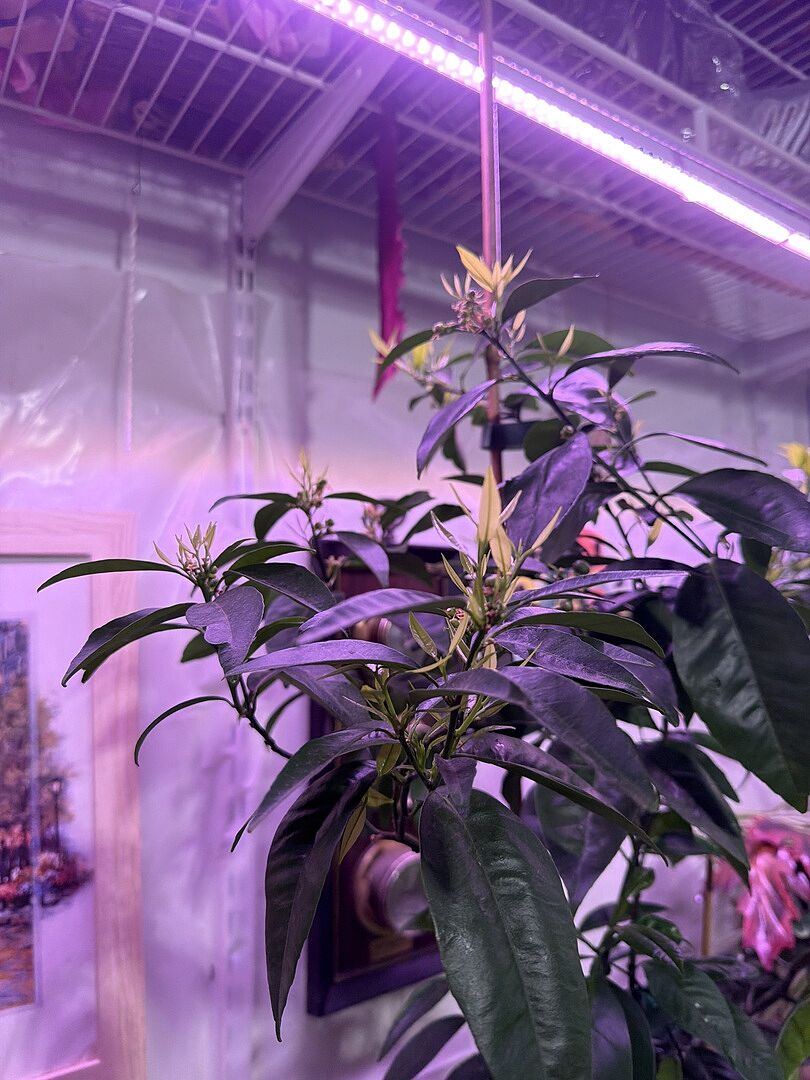 Media from review #2