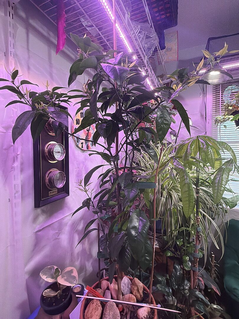 Media from review #3