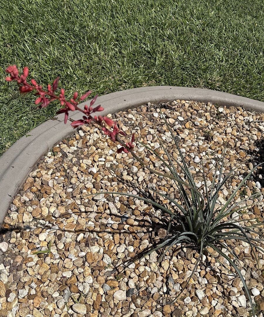 Update to my previous review