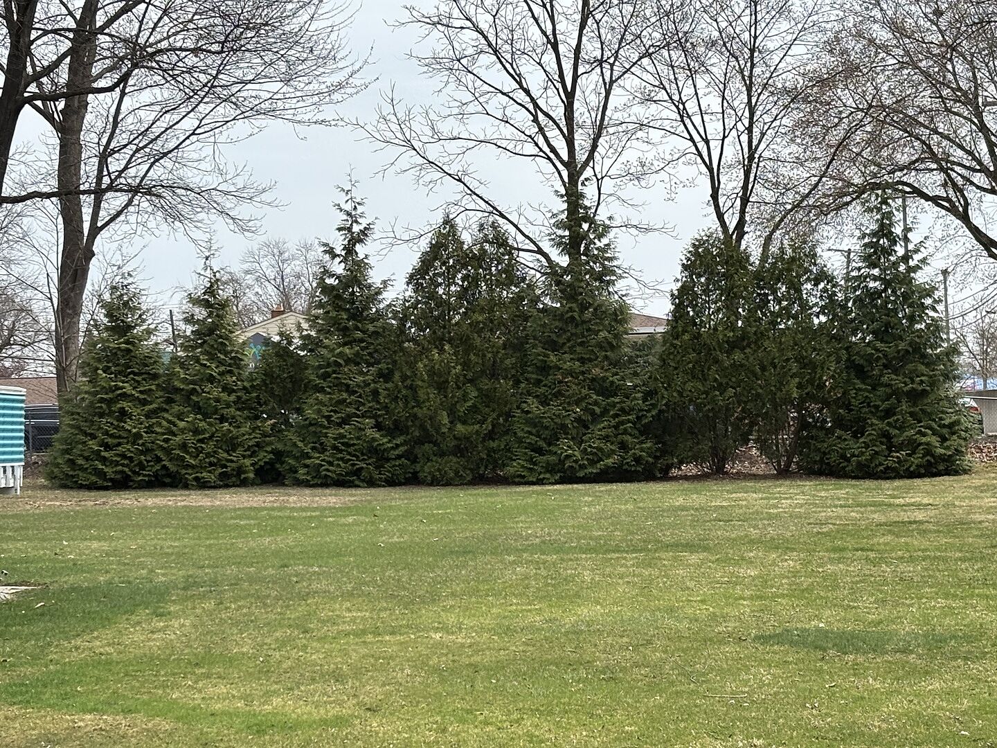 Media from review #1