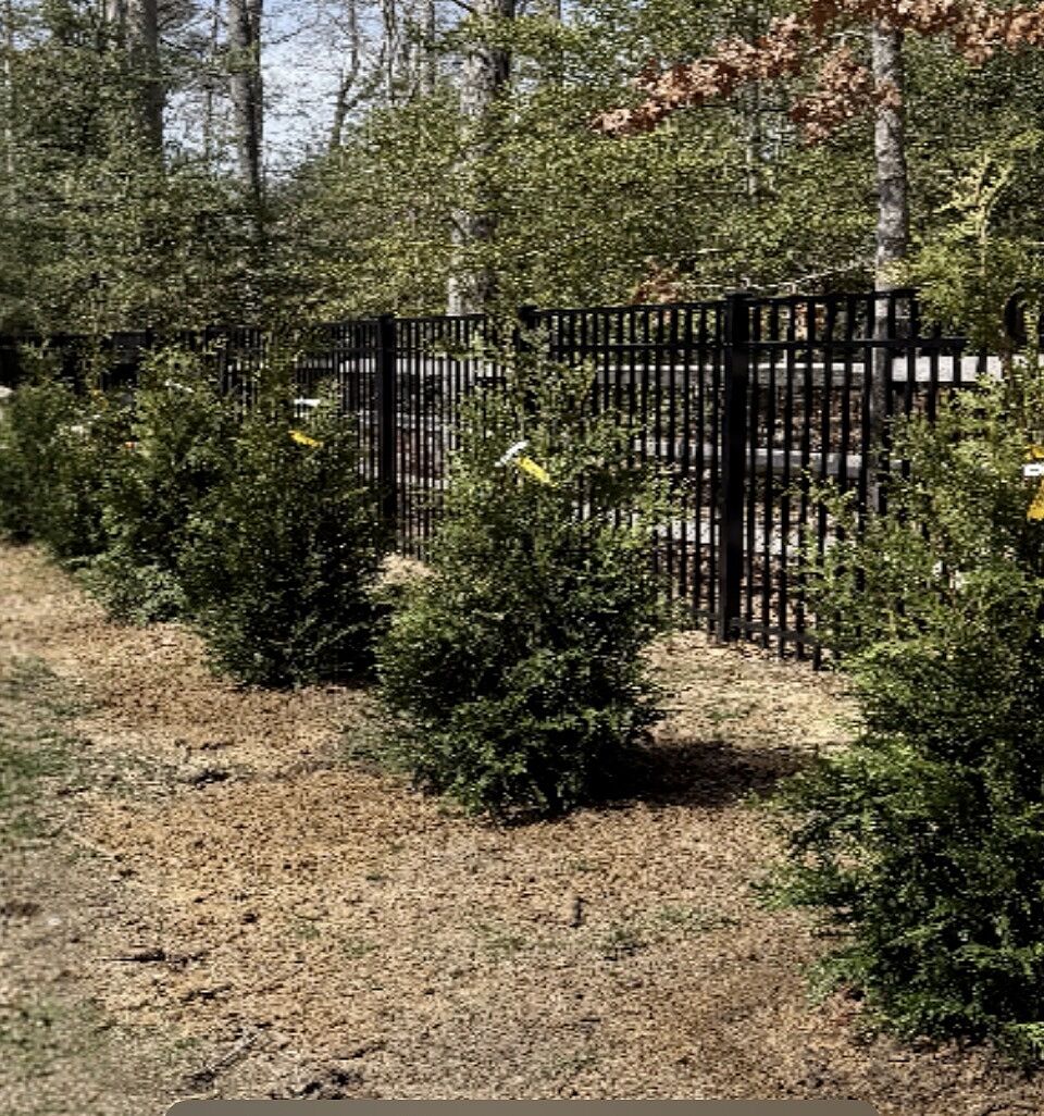 Media from review #2