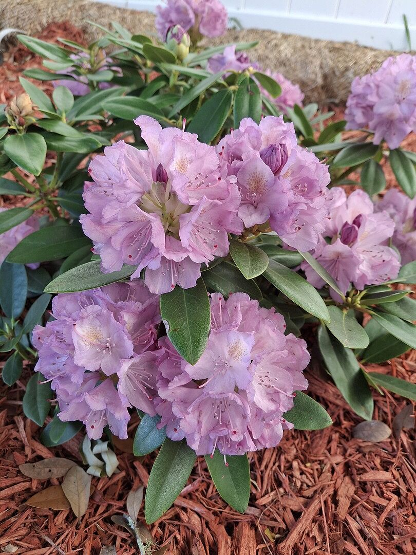 Getting better every day