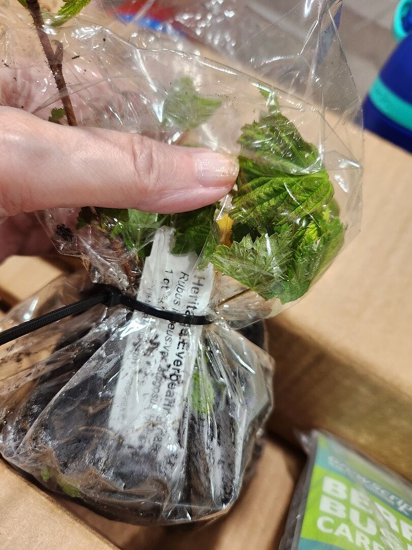 So far so good. It's