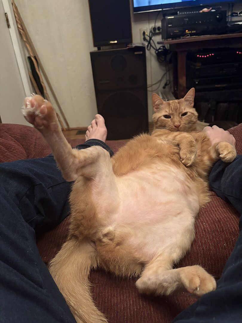 Catalyst Pet customer photo shared by Rosemary P.
