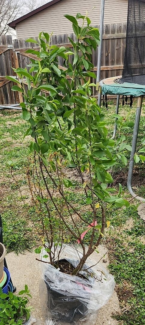 Some cursing expected