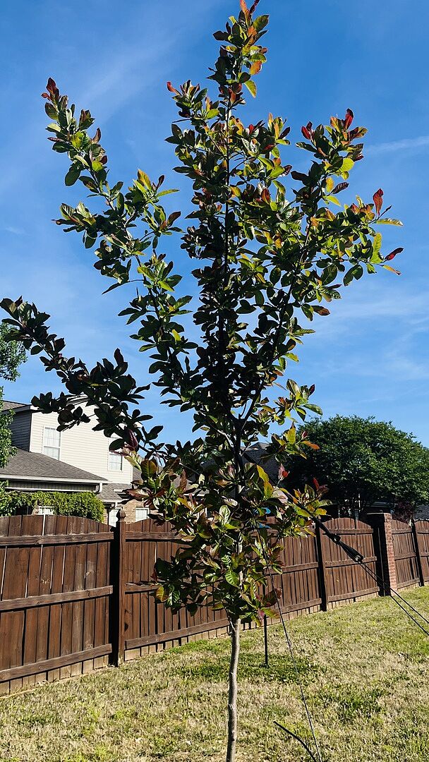 2 years old and growing strong!