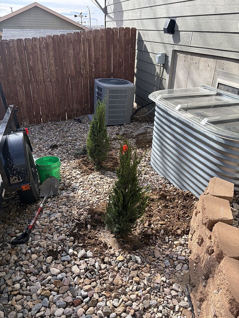 I ordered two of the