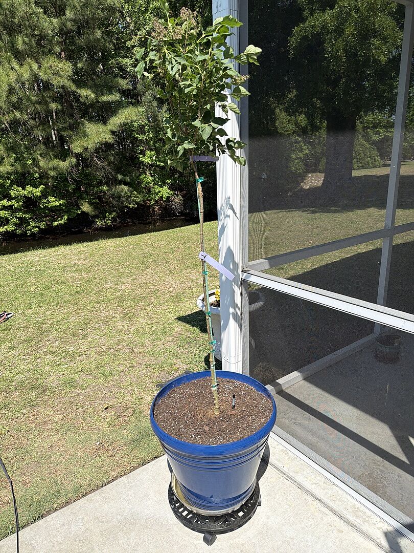 To early to tell but a great experience