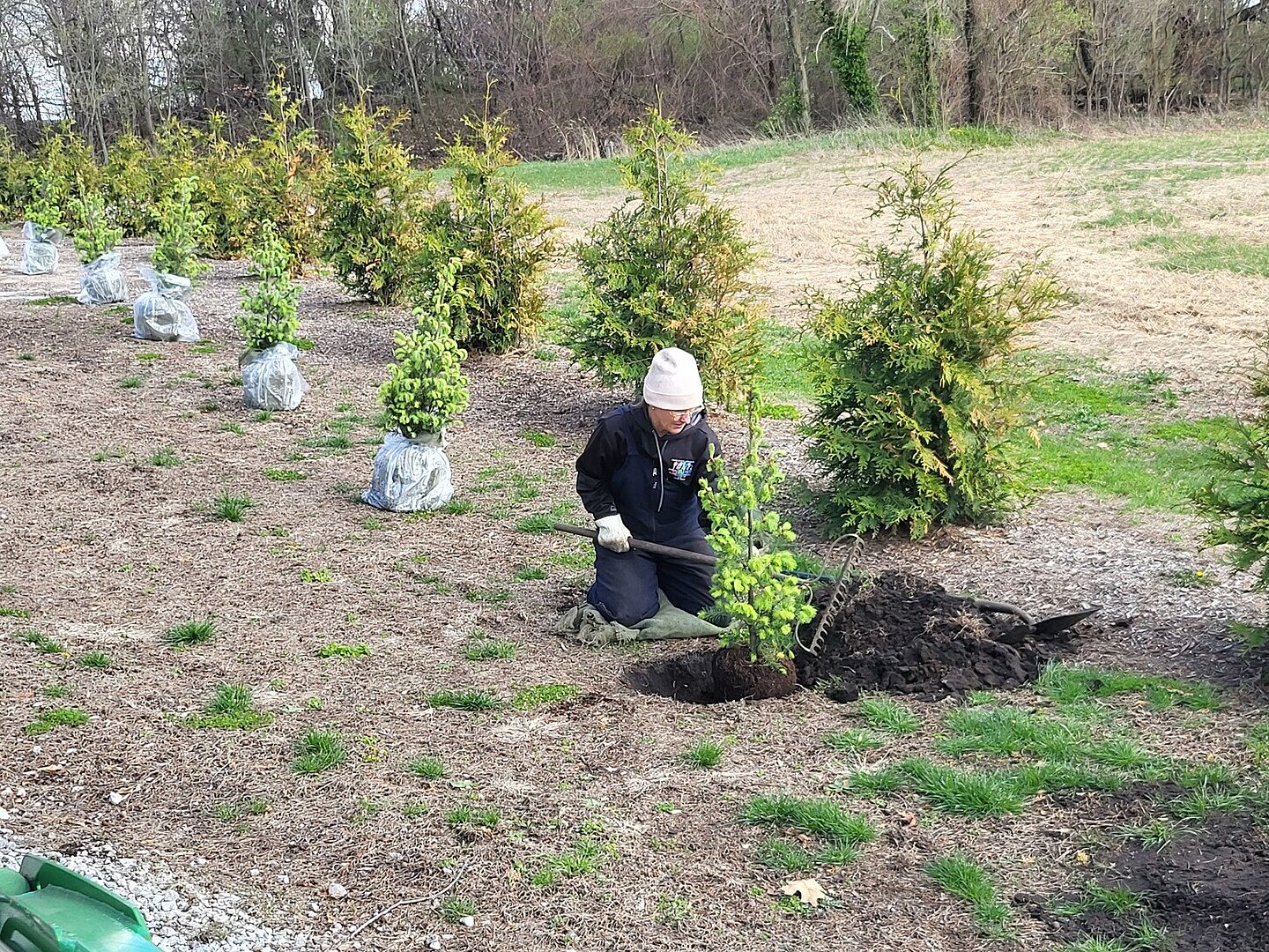 It was interesting how they