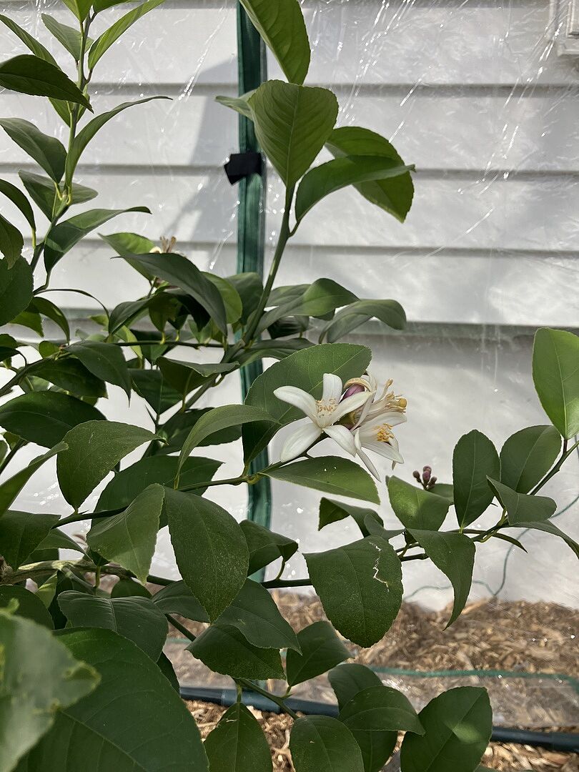 Media from review #2