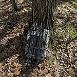 Image of Review by Steve H. on 17 Apr 2026 number 2