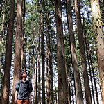 Image of Review by 吉田民生 on 17 Apr 2026 number 1