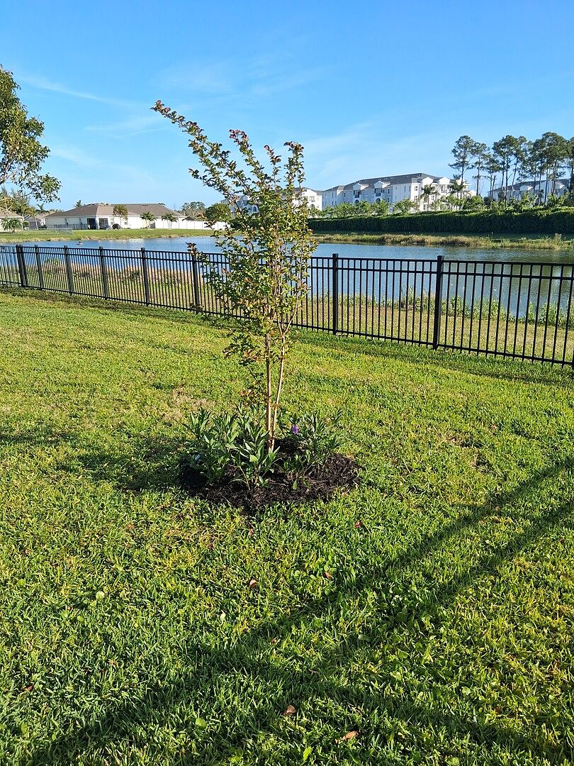 Pleasantly surprised