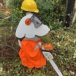 Image of Review by Tim L. on 18 Apr 2026 number 1