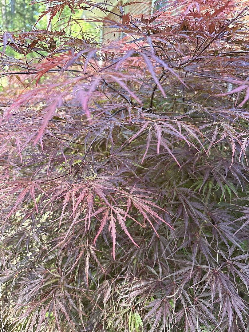 Great experience with your company.