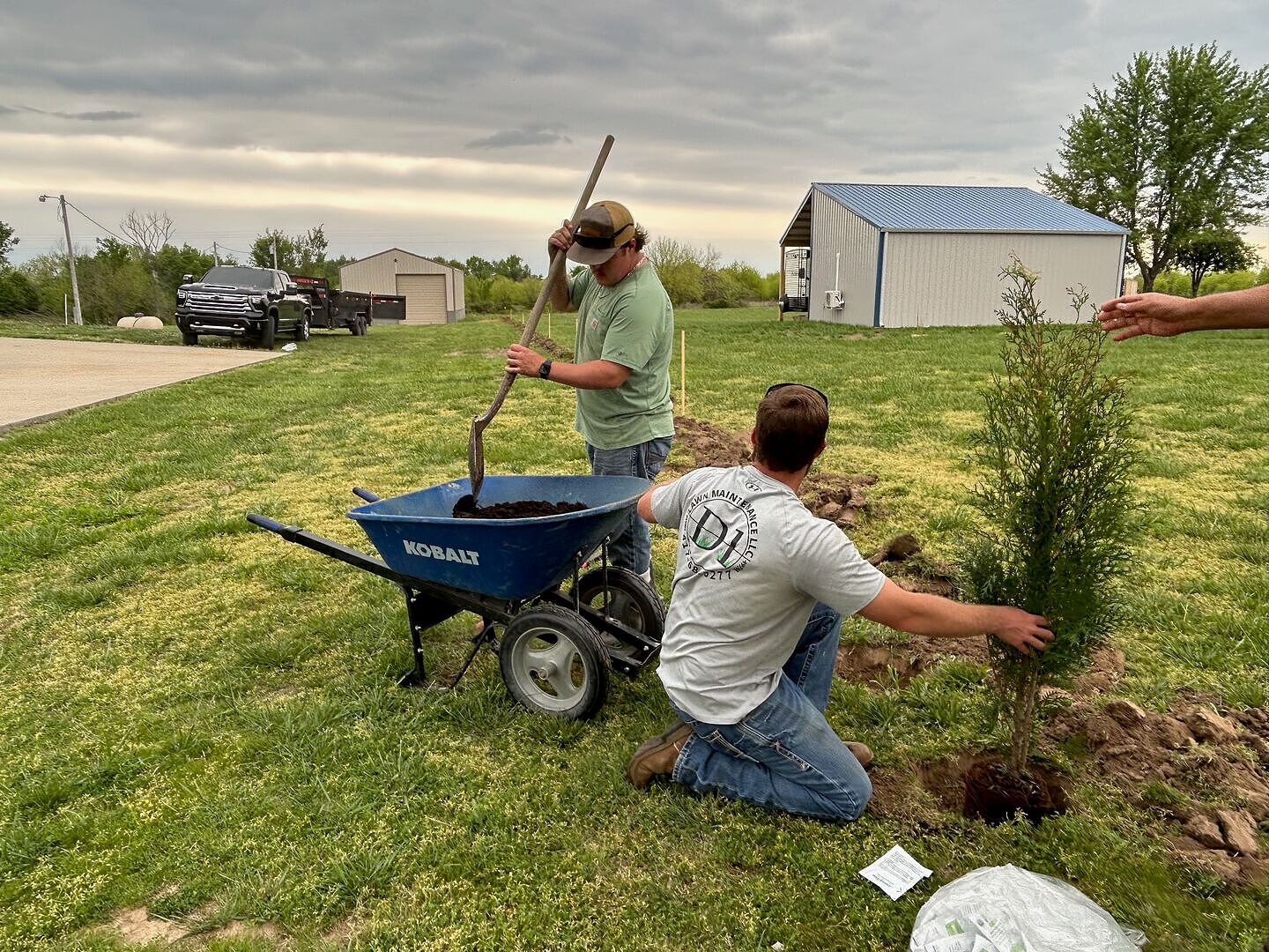 Great Trees, Lots of Work