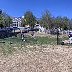 Image of Review by Daniel L. on 22 Apr 2026 number 4