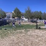 Image of Review by Daniel L. on 22 Apr 2026 number 6