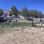 Image of Review by Daniel L. on 22 Apr 2026 number 5