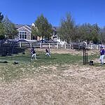 Image of Review by Daniel L. on 22 Apr 2026 number 3
