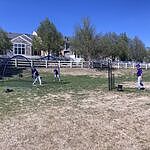 Image of Review by Daniel L. on 22 Apr 2026 number 1