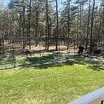 Image of Review by Jason S. on 21 Apr 2026 number 2