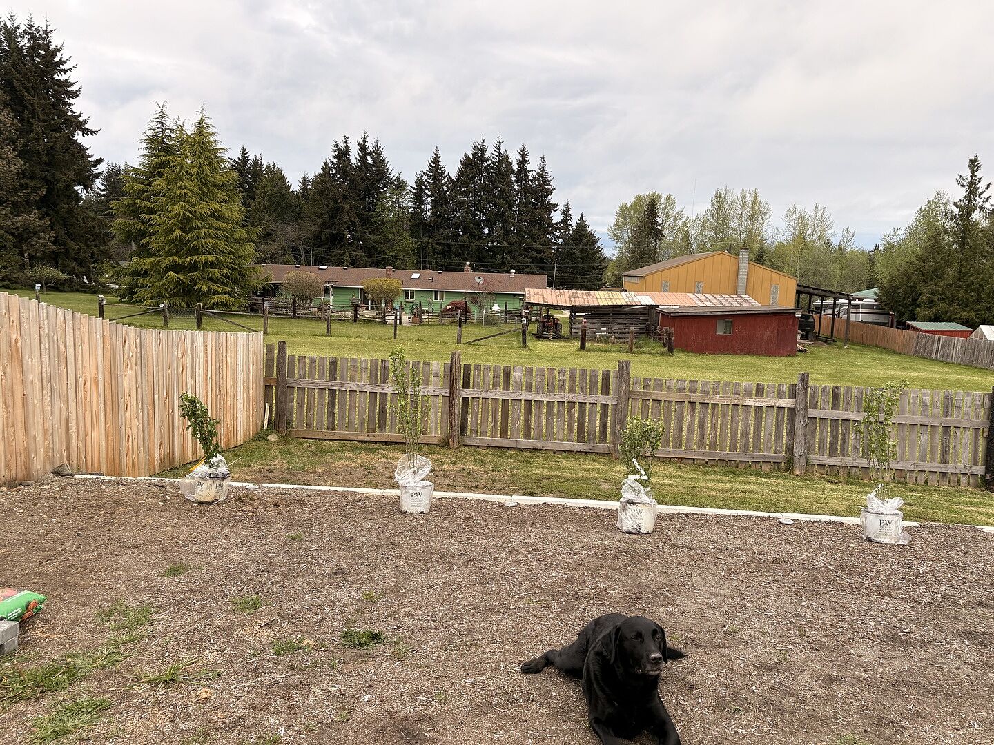 Another great purchase