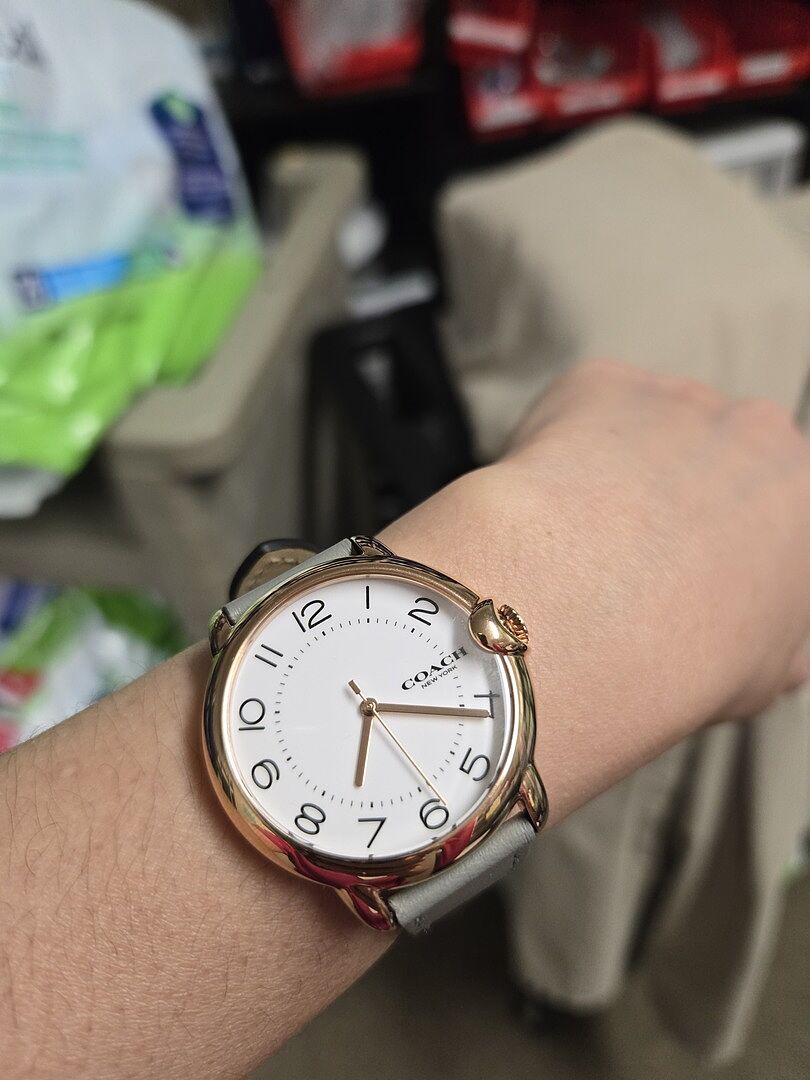 Coach | Movado Company Store | Coach Arden display picture 2