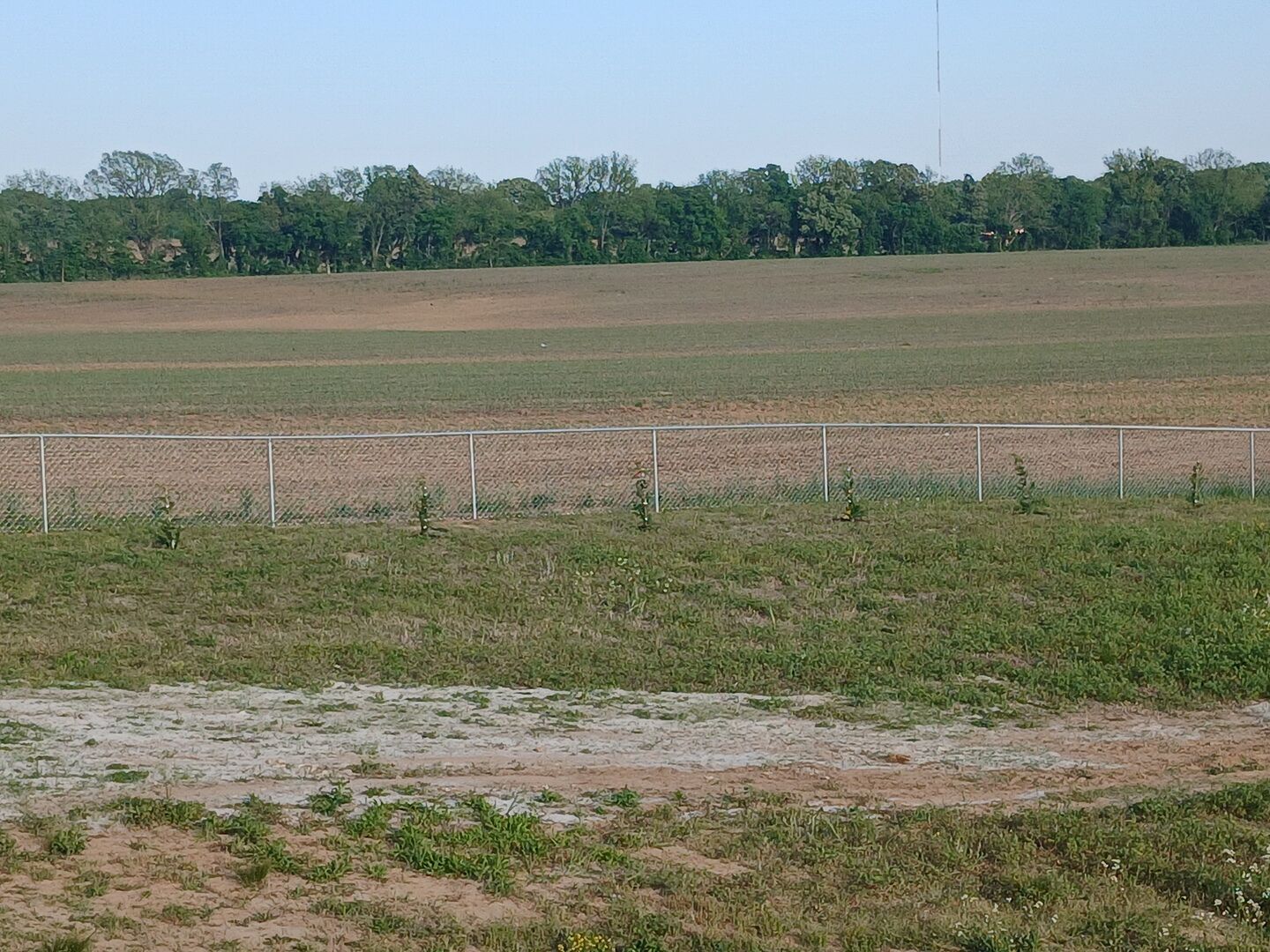 Amazing trees delivered to your door.