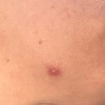 Image of Review by Eugenia on 26 Apr 2026 number 2