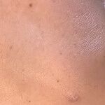 Image of Review by Eugenia on 26 Apr 2026 number 1