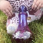 Image of Review by Giselle on 26 Apr 2026 number 1