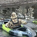 Image of Review by Curtis D. on 26 Apr 2026 number 1