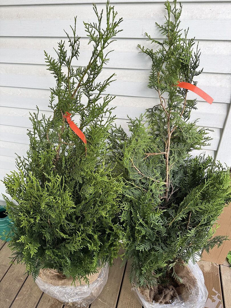 Good customer service