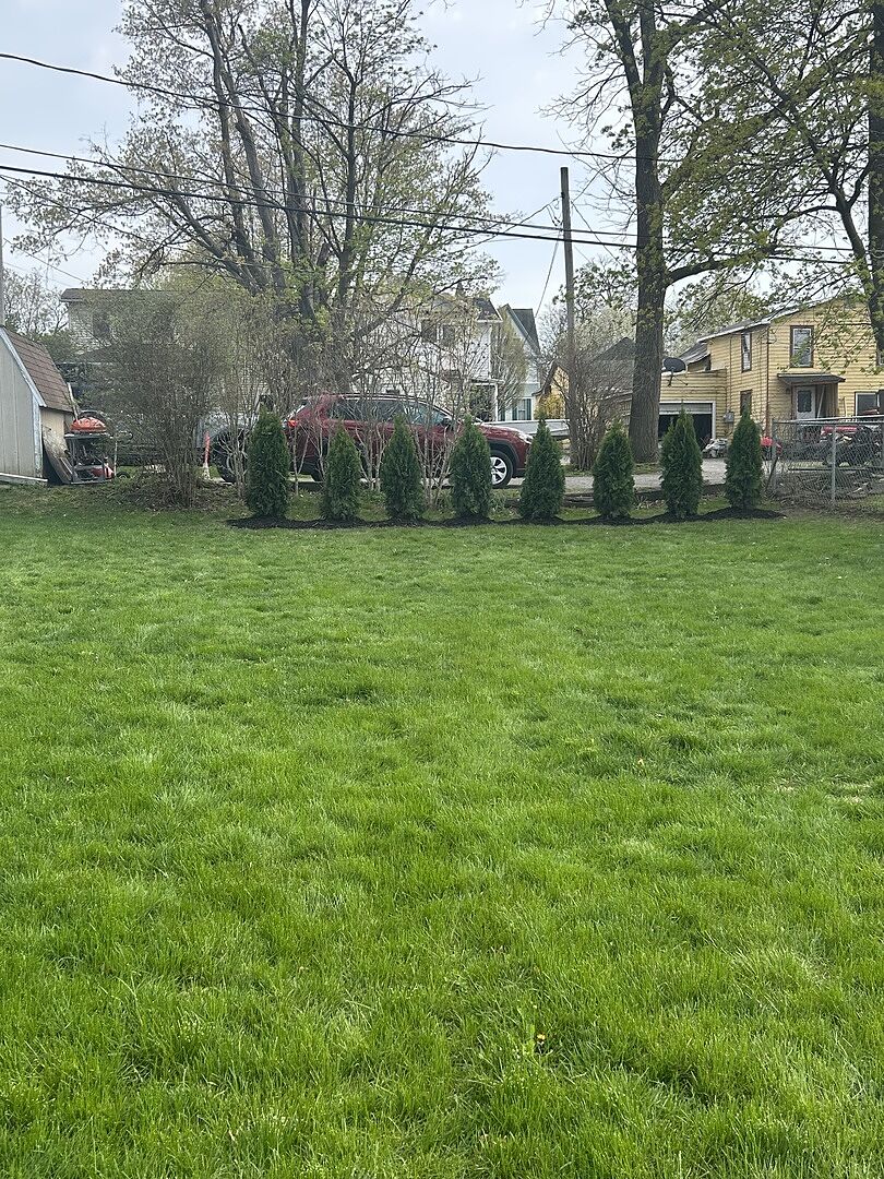 Great trees, no worries