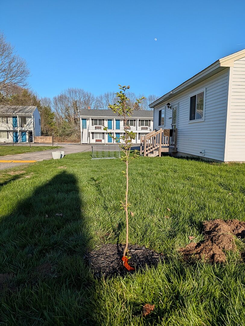 Small Stem, Big Potential