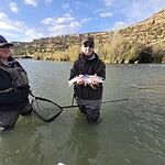 Image of Review by Lori E. on 30 Apr 2026 number 1
