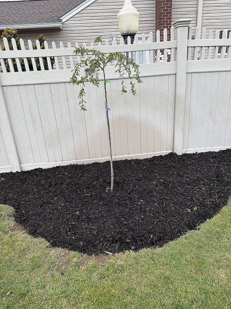Just planted