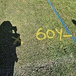 Image of Review by Meera S. on  2 May 2026 number 1