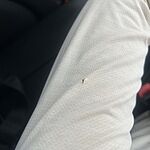 Image of Review by Ashley on  6 May 2026 number 2