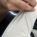 Image of Review by Ashley on  6 May 2026 number 1