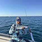 Image of Review by Gunny B. on  7 May 2026 number 2